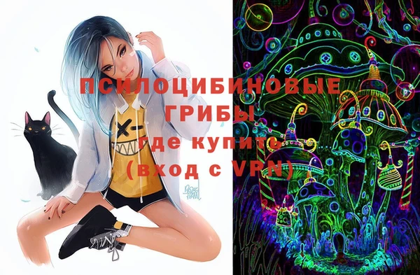 экстази Елизово