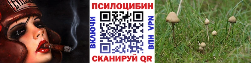 Галлюциногенные грибы GOLDEN TEACHER  Купить закладки  Азов 